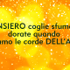 pensiero coglie sfumature